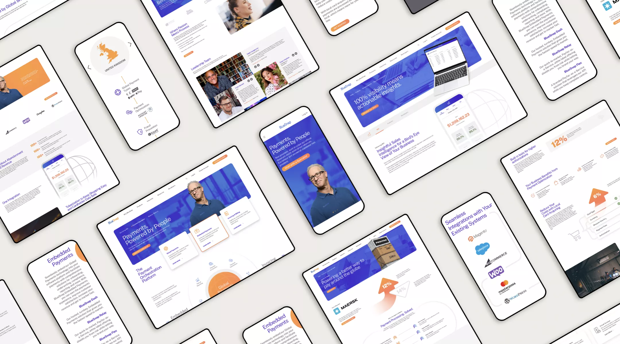 Bluesnap Screen Shot