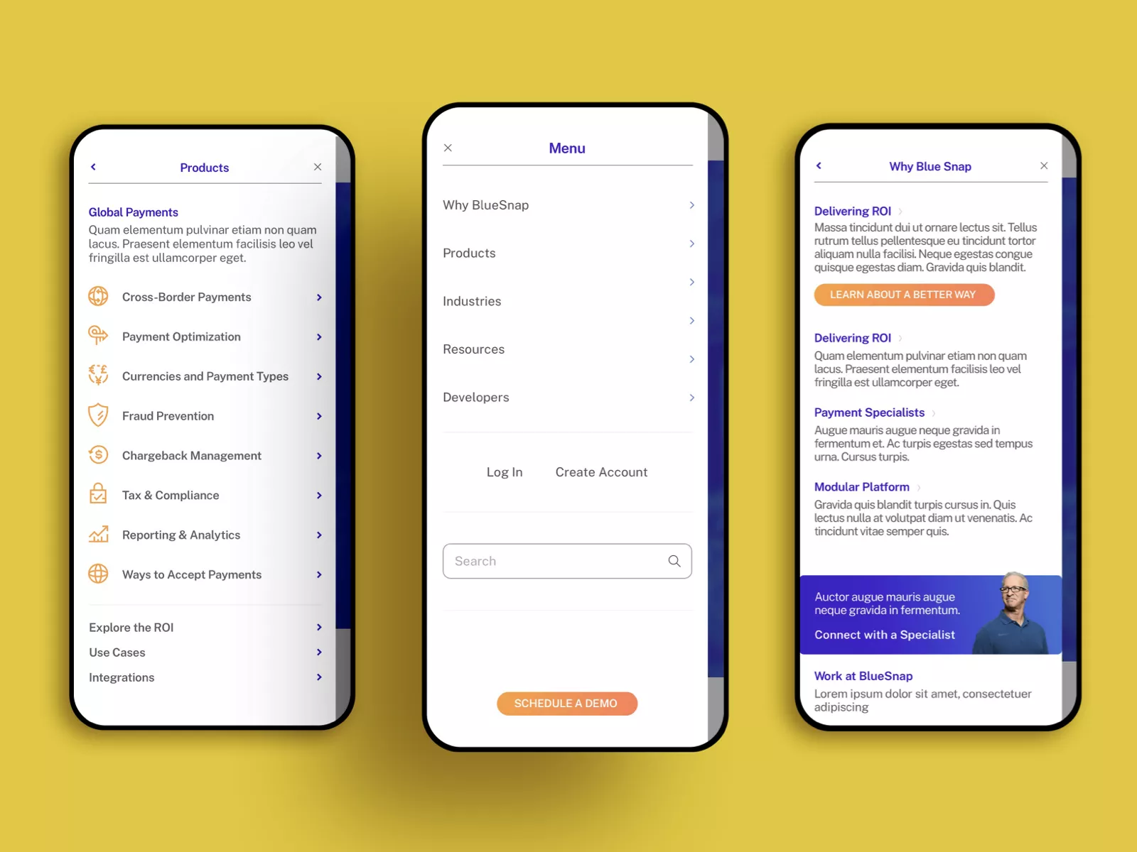 Bluesnap Screen Shot